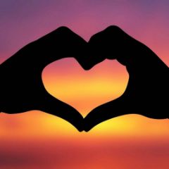 anlove