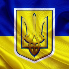 stalion64
