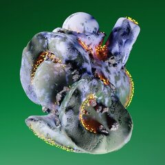 Tenendum